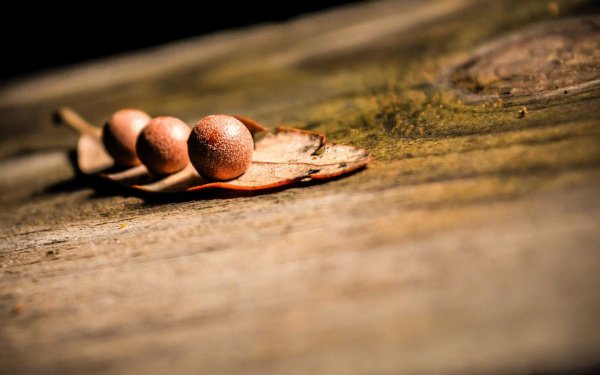 Raheja Imperia Kids Play Area